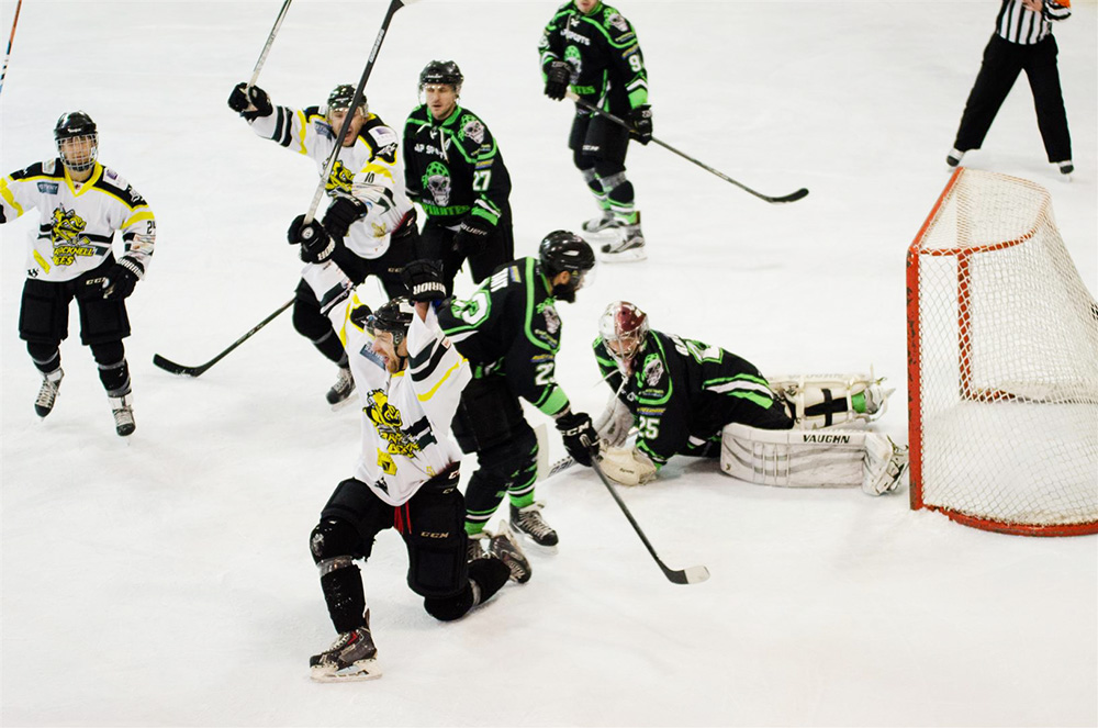 IBS help Bracknell Bees buzz their way to success